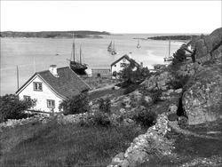 Fra Merdø ved Arendal 1910.