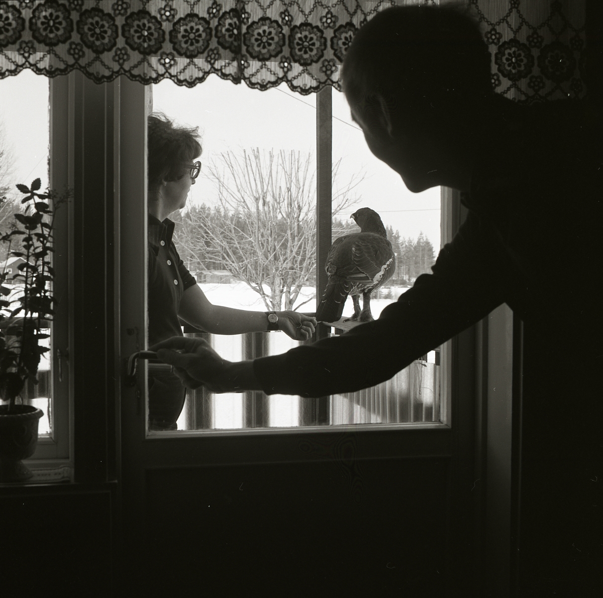 En man tittar ut genom fönsterrutan på en kvinna. Kvinnan står bredvid en tjädertupp och rör försiktigt vid dess stjärtfjädrar. Fågeln sitter på balkongräcket och utanför terassen ligger snön tjock.