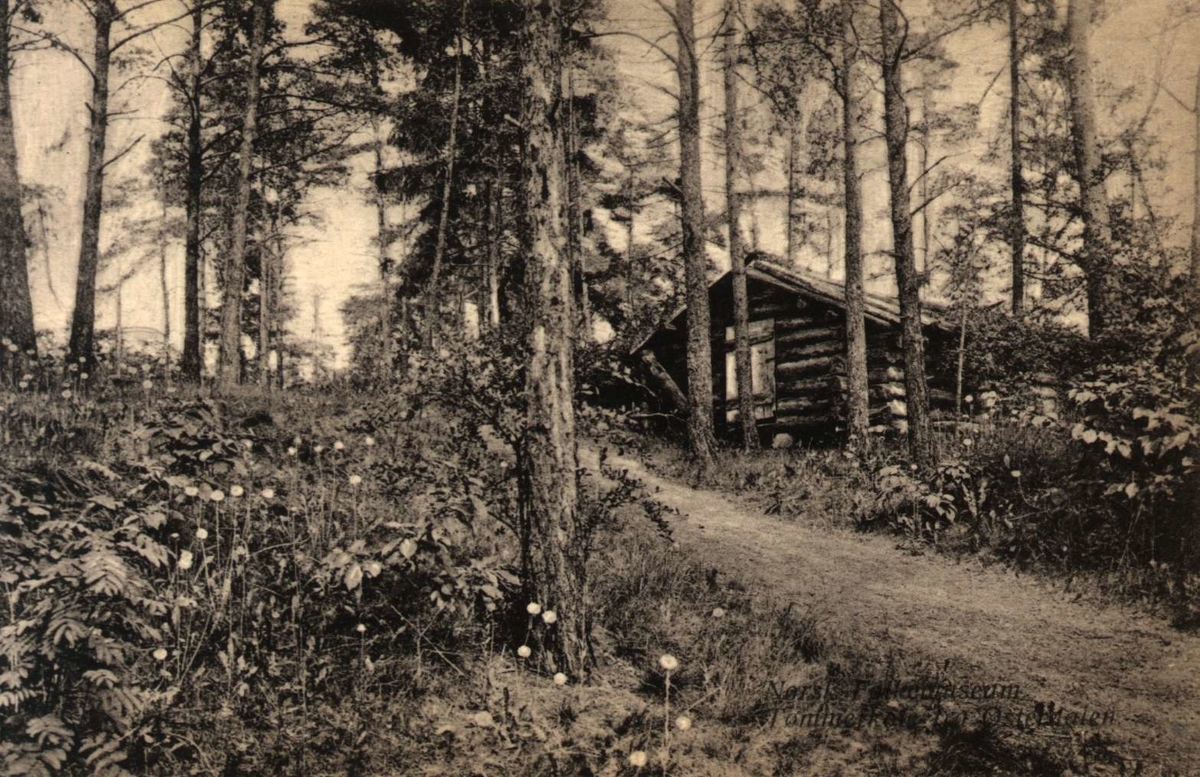 Postkort. Tømmerhus i skogen,  Telemarkstunet, NF.