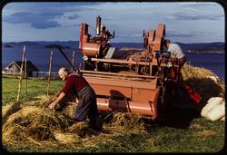 Tresking på Johnsborg.