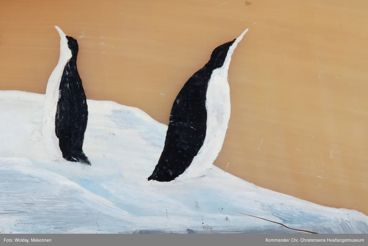 Flagghval, isfjell og pingviner