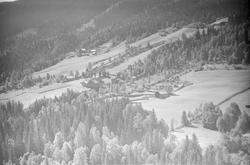 Gardsbruket Lillehakkerud i Vestre Gausdal. Bygninger. Skog.