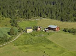 Gårdsbruk, Hauglid, Øvebygda, Østre  Gausdal