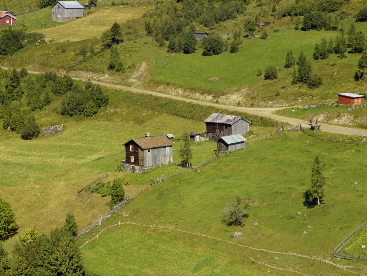 Kulturlandskap. Småbruk. Litt dyrka mark, mye utmark.