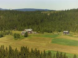 Stylen. Gårdsanlegg høgt i lia. Åker med hesjer. Granskog.