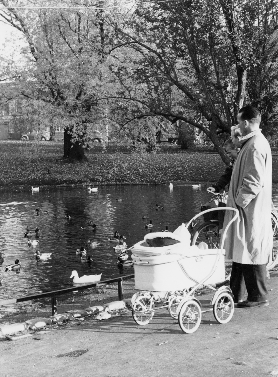 Høst. St. Hanshaugen 01.11.1958.