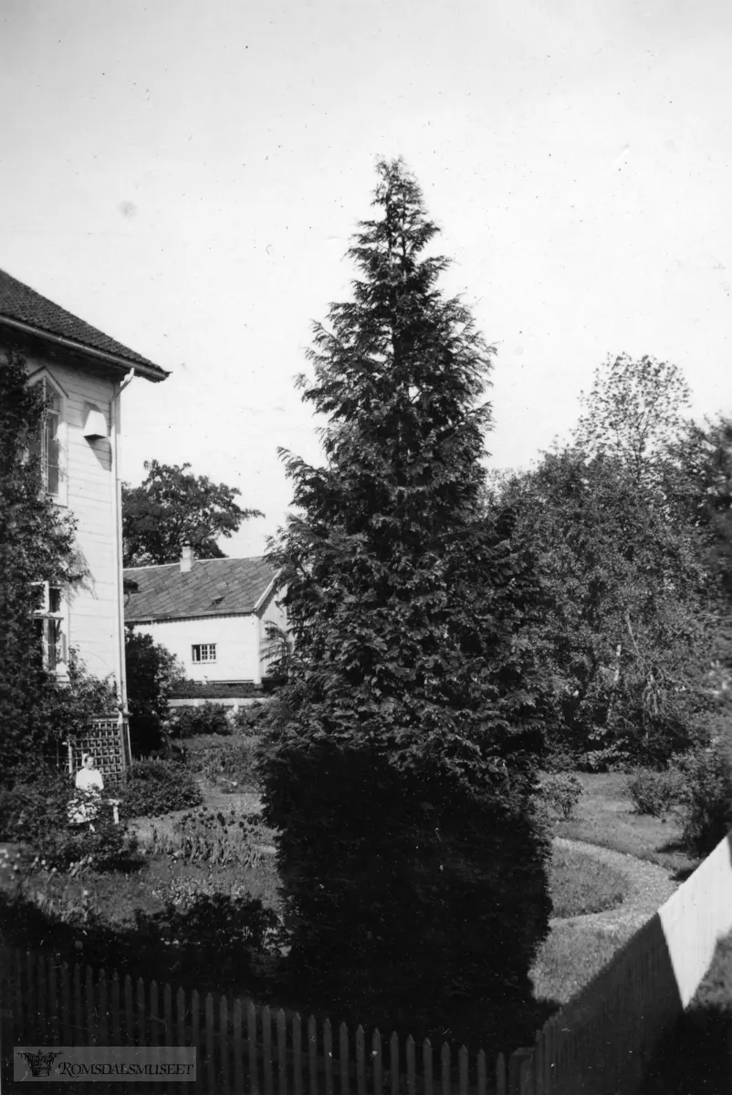 "Klosterhaven sett fra Stortinget våren 1937".