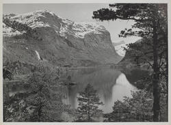 Espelandsvatnent juni 55