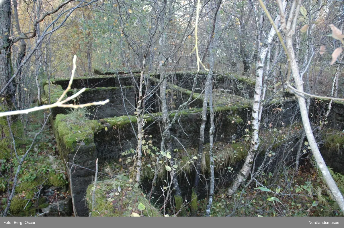 Dokumentasjonsfoto. Oterstrand Molybdengruve. Gildeskål.lakshaugen 