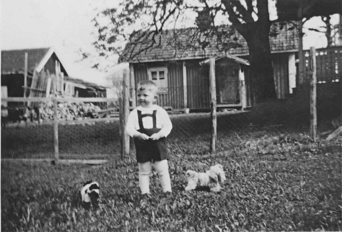 Jon K. Ødegaard, 3 år, ute med lekehunder i Søgarn, Gauterud. 1937. Strusset i bakgrunnen er fra rundt 1900 og står fortsatt.