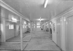 Gartnerhallen i Sandgata 12, eksteriør og interiør