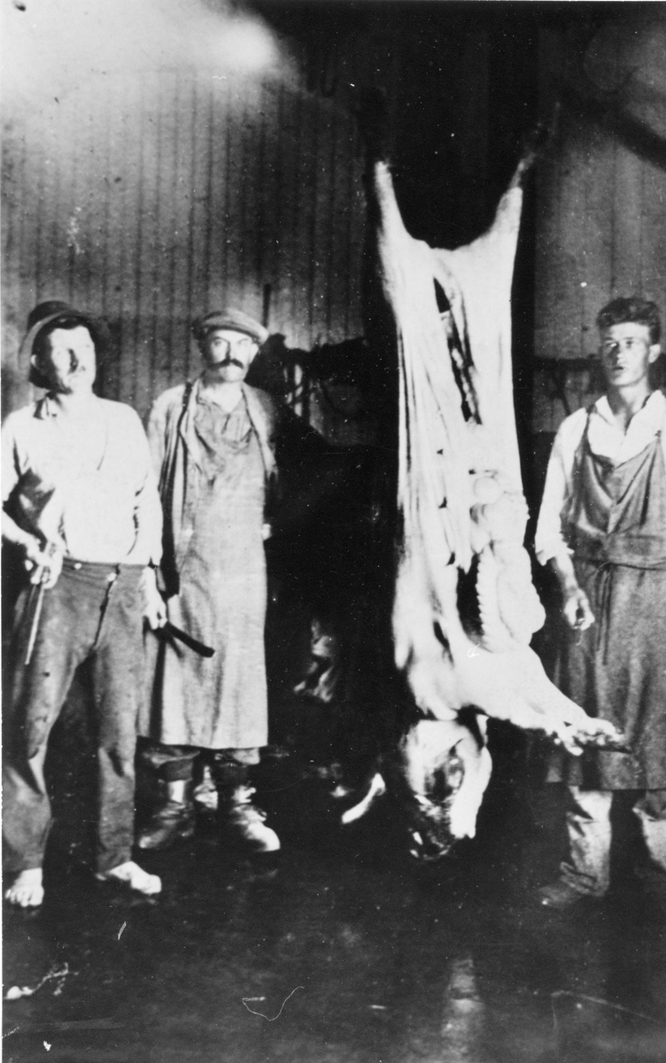 Aldéns slakteri i Åhs, tidigt 1930-tal.
Från vänster: Per Markusson (Norrgårds-Pelle), Nils Aldén (Åhs) och Bror Blomberg (Berg). Grisen lär ha vägt ca 250 kg.
