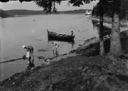 Gjøvik, ukjent sted. Tre gutter leker i strandkanten, ukjent