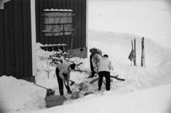 (Film #18) (blanding fra flere filmer).Veddugnad Måsvassbu..