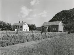 Prospektfotografi av gården Reitehaugen, vest for Veibust på