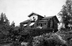 Foto av et eføykledt bolighus. Usikkert hvor. (Kragerø? Nord