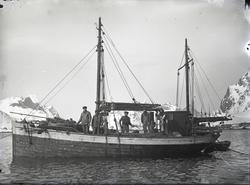 Hans M. Skaugvolds negativsamling