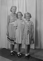 Svea Stenhaug med flere