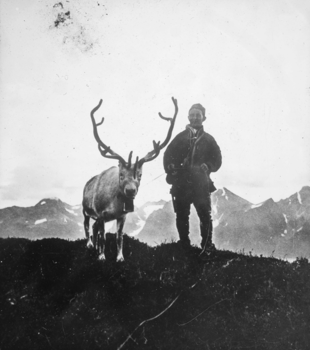 Portrett av samisk mann med reinsdyr. Bildet viser en same som står på en bakketopp og holder et reinsdyr i tau. I bakgrunnen kan man se en fjellkjede. Mannen er kledd i samisk kofte. Reinsdyret har gevir på hodet og en bjelle rundt halsen.