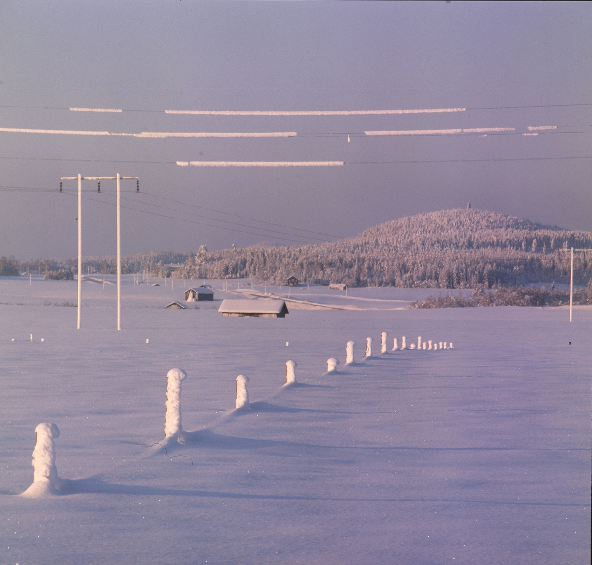 Vinterlandskap i Rengsjö med Bullerberget och sitt torn. Kraftledningar och stolpar är täckta av snö. Vi ser snödjupet på lador  och annat, och skogen är snötäckt.