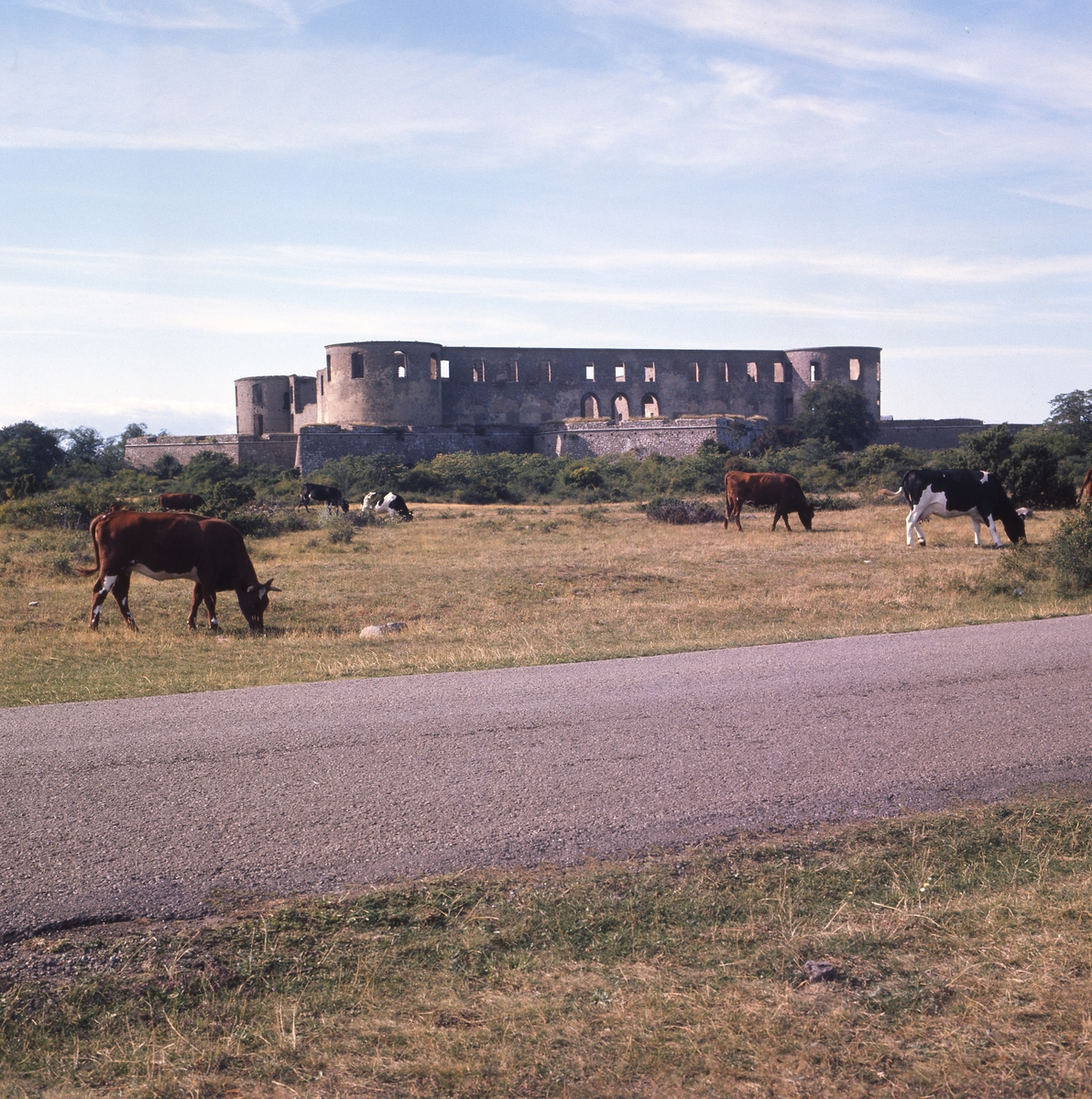 Borgholms slottsruin, Öland 1976.