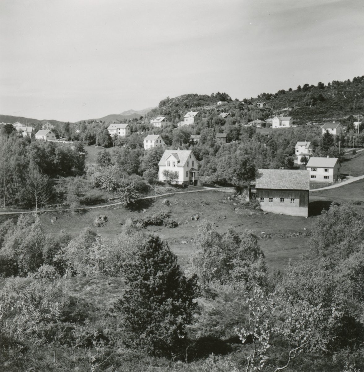 Prospektfotografi av et gårdsbruk og flere bolighus i Breivika, Ålesund.