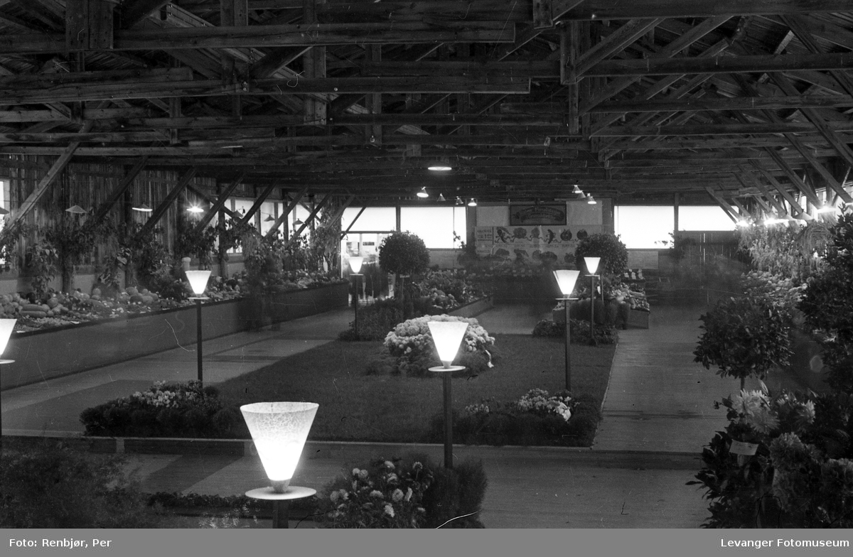 Fra utstillingen om høsten under byjubileet i 1936, hagebruksutstilling.