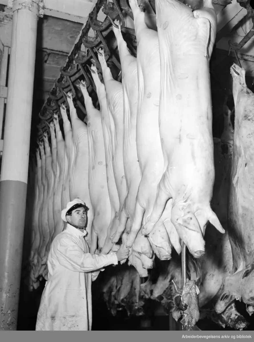 Kjøtthallen på Grønland, desember 1951.