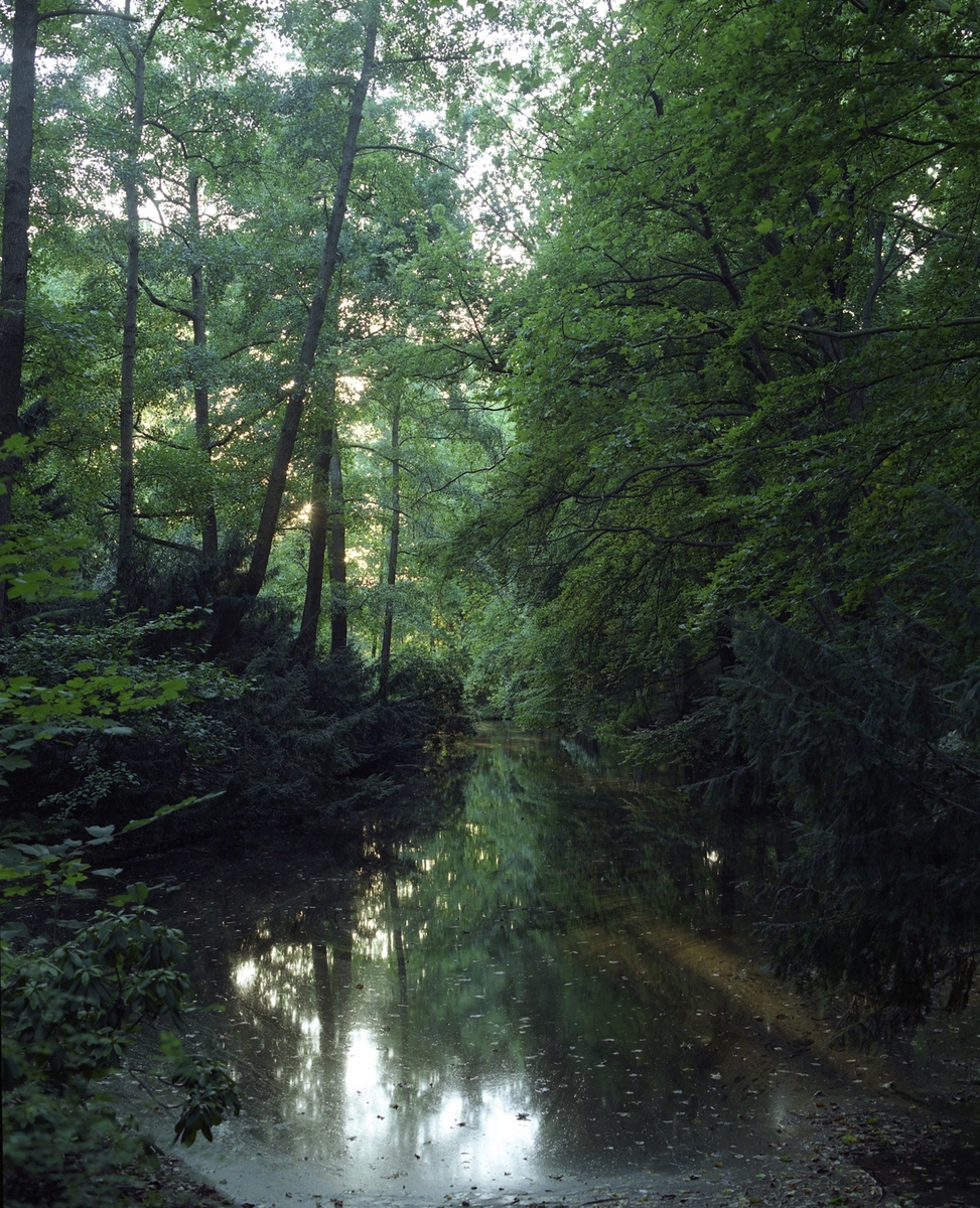Fotografiet viser en innsjø omkranset av trær i parken Tiergarten i Berlin, Tyskland.
