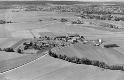Veberg vestre gård i Borge, flyfoto 24. juli 1952.