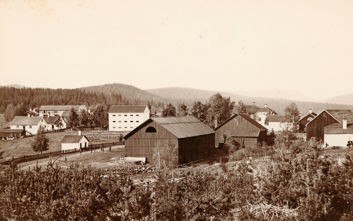 Hedvigsfors bruk.
Bilden är tagen 1888 med labbet och sädesmagasinet till vänster, herrgården och brukskapellet till vänster i bakgrunden, brukskapellet revs 1903.