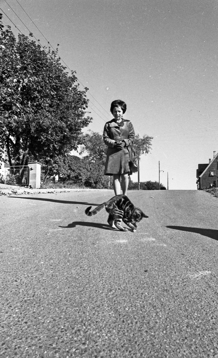 Svart katt. Katt som krysser veien for å få seg litt mat. Kvinne i bakgrunnen.
