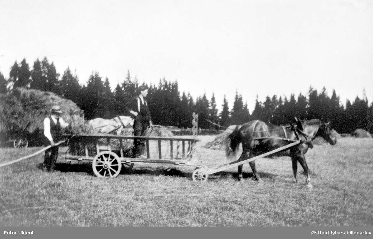 Høykjøring med hest og høyvogn ca. 1922. Gården Taraldrud 48/2, Skiptvet. 
Ved høyvogna Edvard Johansen og Joh. Kr. Taraldrud.