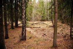 Hovinsholmen, Helgøya, Hedmark. Inne på holmen ligger det en
