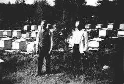 Bikuber i Trøgstad ca. 1935. Til venstre Gustav Gellestvedt,