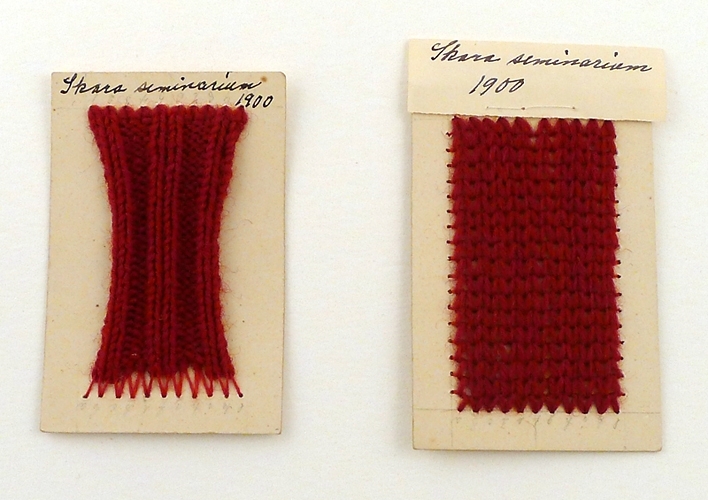 Textila slöjdprover från "Skara seminarium 1900"
Bestående av två små märkdukar, en fingervante, en tumvante, en strumpa, en kofta samt fyra stickningsprover.
Tillverkade av Armida Zetterlund, född 1880.