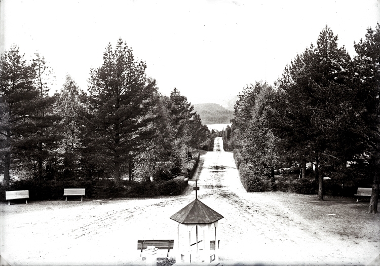 Vägen upp till sanatoriet sedd från huvudbyggnaden 1890-1900.