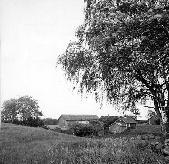 Bjurum, församling i Skara stift. 
Bjurum består av sandig slättbygd s.v. om Hornborgasjön. Flera stenåldersboplatser finns vid sjön, därutöver ca 130 fornlämningar. Förutom spridda gravar från bronsålder och äldre järnålder märks ett stort gravfält från yngre järnåldern vid Mårby, där också en märklig vapengrav från keltisk järnålder påträffats. 
Kyrkan byggdes 1768. Den ersatte de båda romanska stenkyrkorna i Hånger och Mårby, vilka samtidigt revs.