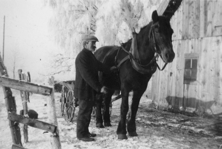 Erik Gustavsson och hästen Docka (eller Pärla), Heljesgården, Bolum.