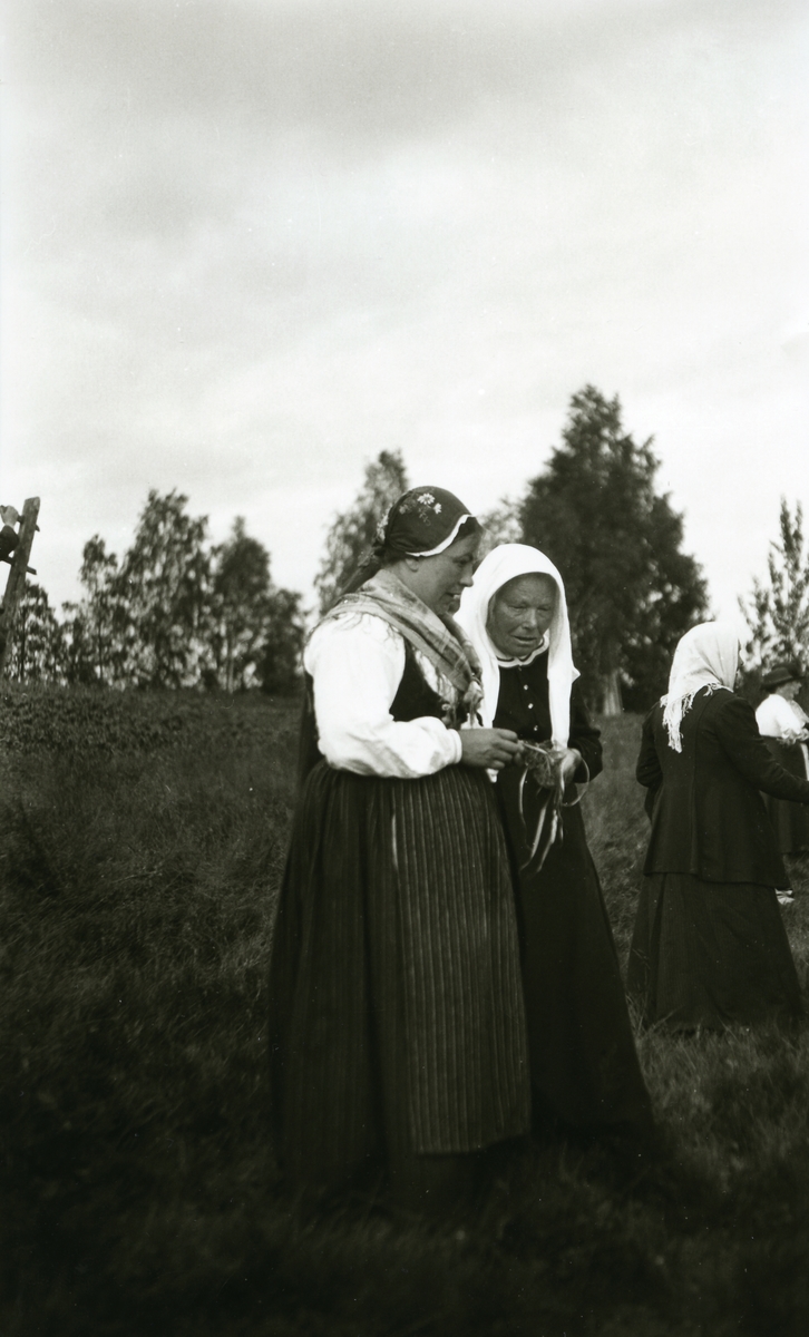 To kvinner i forgrunnen, den ene i svensk bunad. I Älvdalens finnmark.