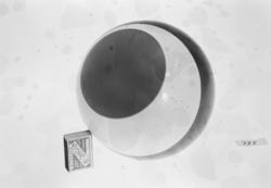 Norske Legio, Opptak av leker