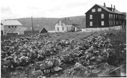 Strand internatskole. Ny styrerbolig under bygging. 1937.