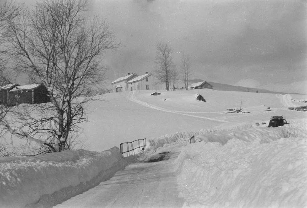 Vinterlandskap,tømmerkjøring med lastebil i Hattfjelldal?