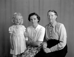 Margit Meisingset Fugelsøy, Inger Meisingset og Tomine Meisi