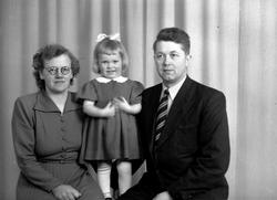 Gunvor Skjelvik, Ingjerd Skjelvik og Edv. Skjelvik
Fra Nordm