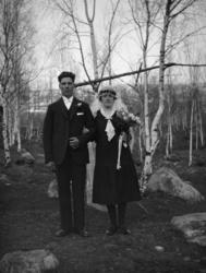 Brudepar, ute, bjørker