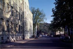 Egedes gate ved Gamlebyen skole.
