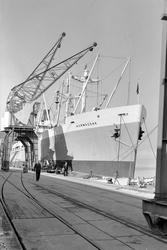 D/S Mormacoak besøker Trondheim