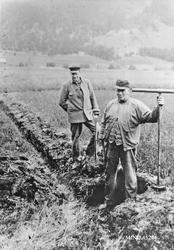 Funnsted for skifunnet, Alvdal, ca 2000 år gammel ski. Skifu