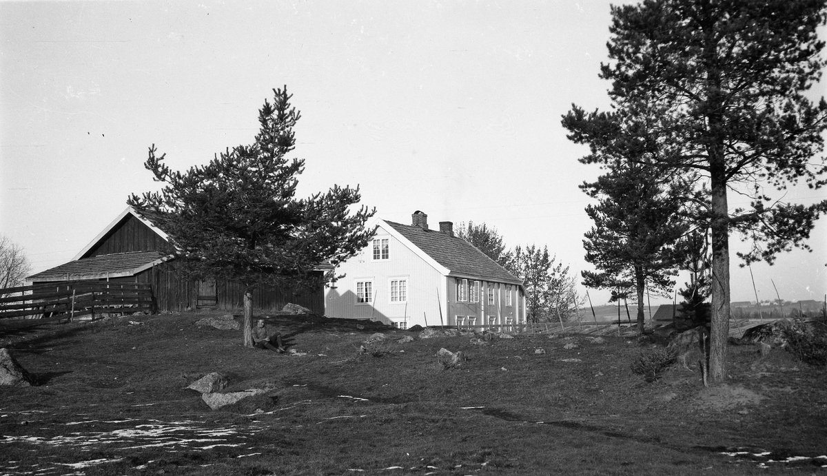 Gården Krabysanden, Østre Toten. Under grana til venstre sitter Sigurd Røisli.